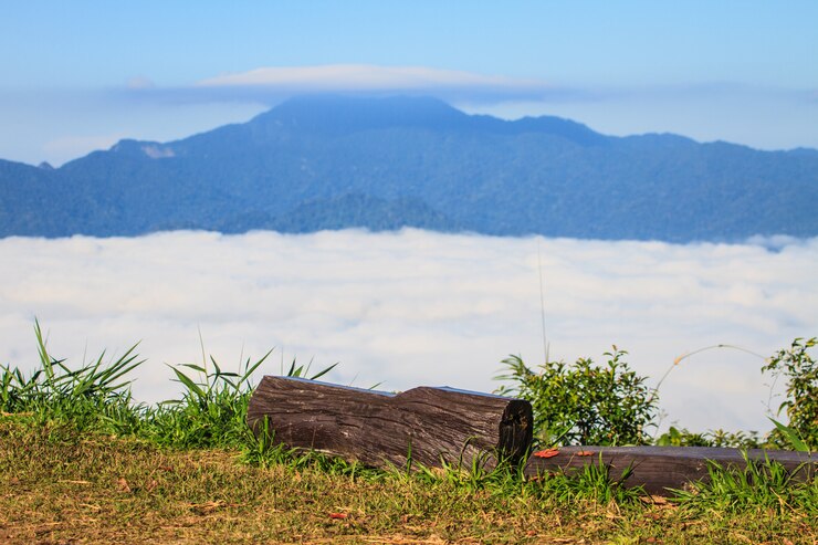 Paysage de vallée de brouillard et de nuage
