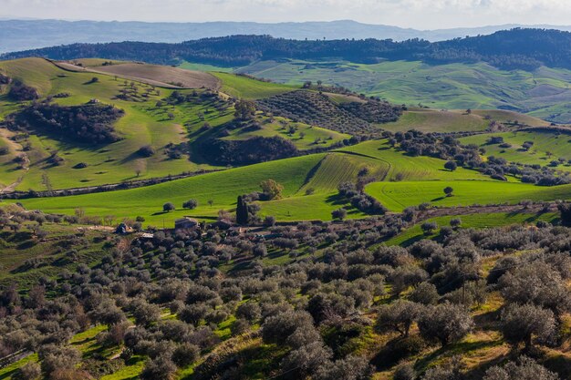 Paysage de vallée et de champs à Morgantina