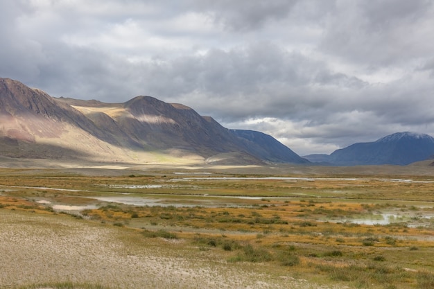 Paysage de vallée dans les collines de la steppe mongole occidentale