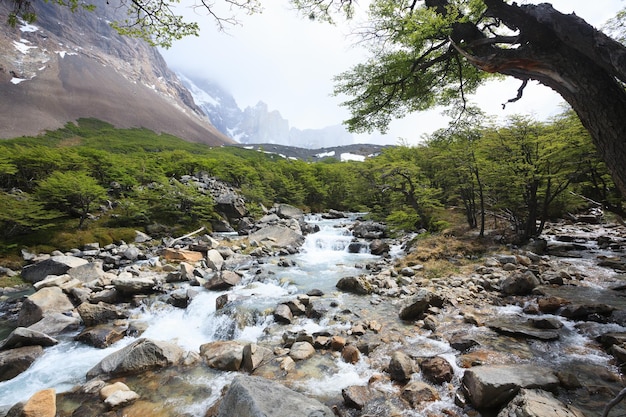 Paysage de la vallée française Torres del Paine Chili