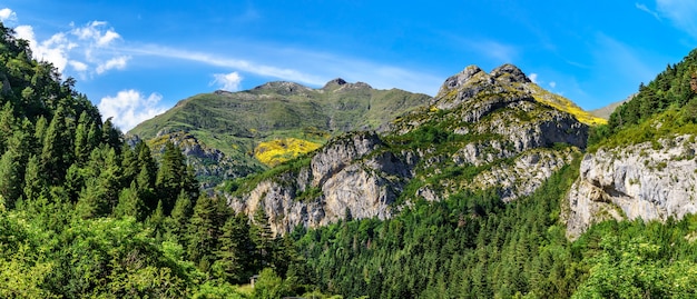 Paysage de vallée panoramique avec haute montagne et forêt à Ordesa, Pyrénées. Repos, loisirs et beauté.