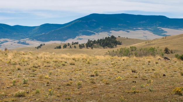 Paysage vallonné du Colorado au début de l'automne.