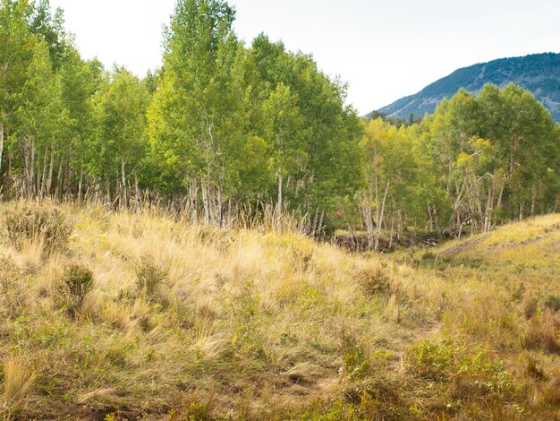 Paysage vallonné du Colorado au début de l'automne.