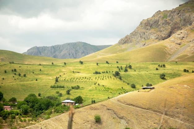 Paysage verdoyant dans les hautes terres