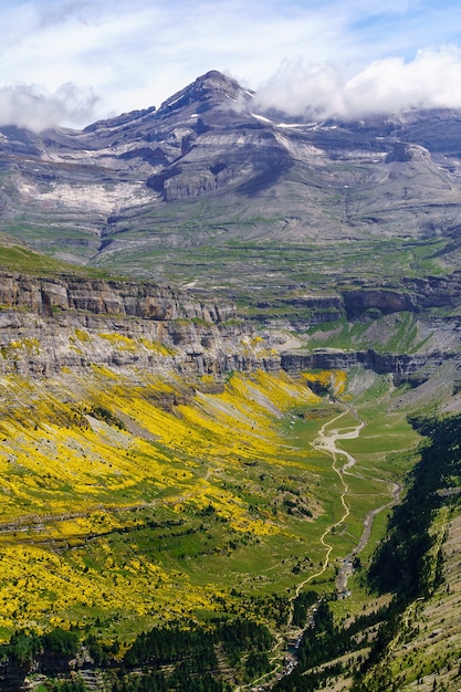 Paysage verdoyant avec de hautes montagnes