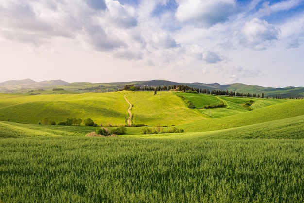 Photo paysage verdoyant unique dans la vallée de volterra toscane italie ciel spectaculaire et coucher de soleil sur les collines cultivées et les champs de céréales toscana italia