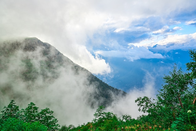 Paysage d'un versant de montagne recouvert d'herbe