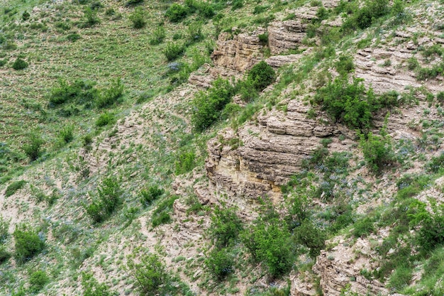 Paysage d'un versant de montagne avec des roches altérées et des éboulis couverts d'arbustes