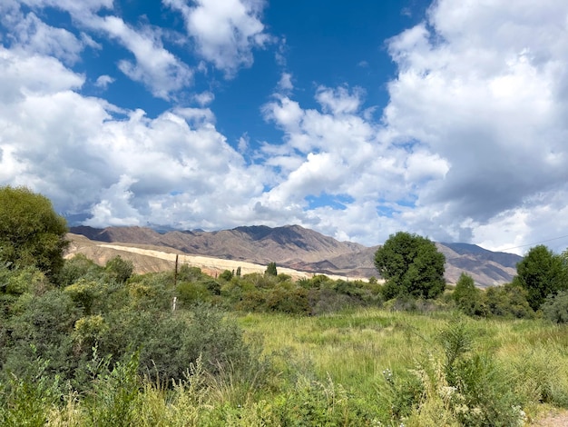 Paysage vert et bleu au Kirghizistan