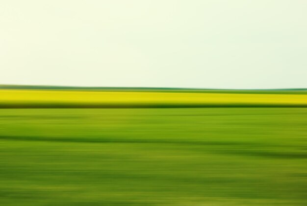 Photo paysage vert jaune