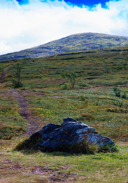 Paysage vertical de Norvège avec fond de pierre hd