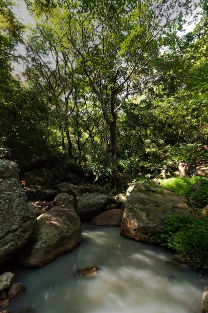 Photo paysage de la vie au mexique avec rivière