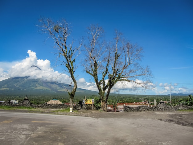 Paysage avec de vieux arbres par la route et un volcan en Indonésie.