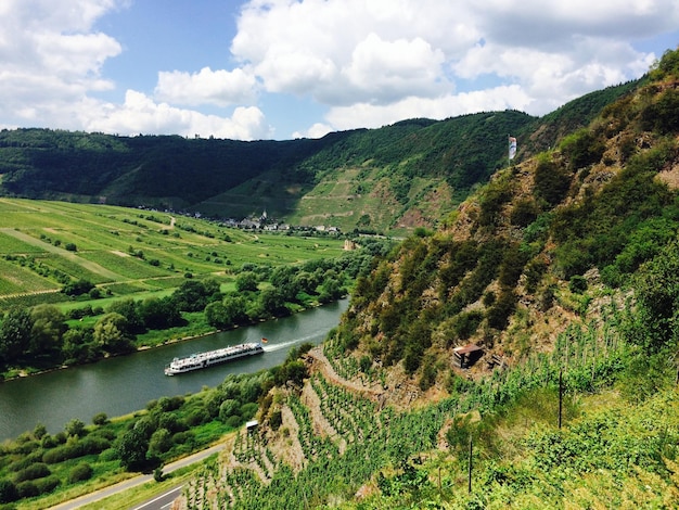 Photo paysage de vigne sur une colline