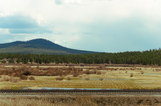 Paysage avec une voie ferrée sur fond de forêt et de montagnes