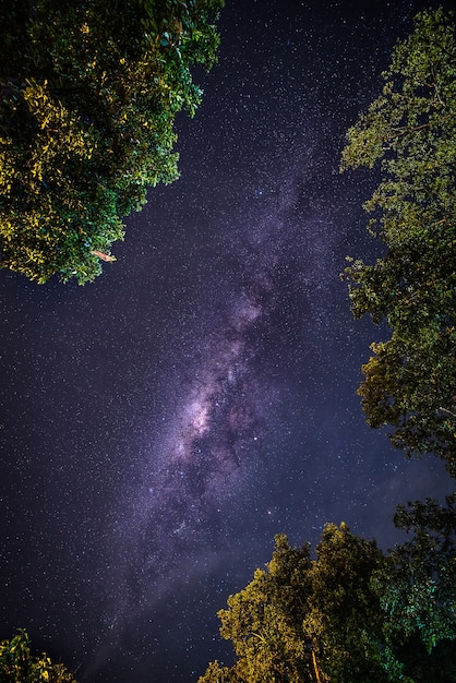 Paysage avec la Voie Lactée