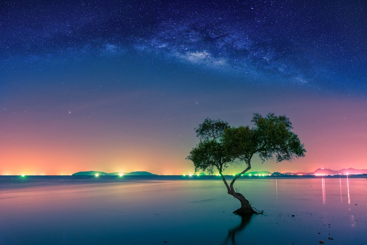 Photo paysage avec la voie lactée