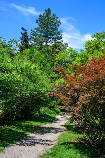 Photo paysage avec vue sur le jardin botanique