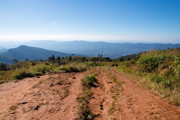 Paysage vue sur montagnes