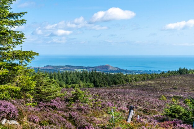 Paysage de Wicklow dans une journée ensoleillée.