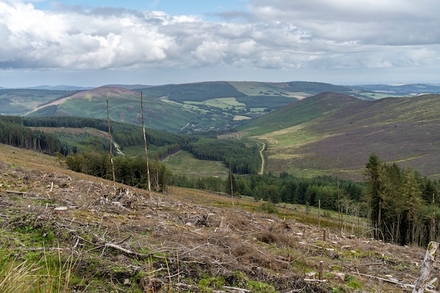 Paysage de Wicklow avec forêt abattue.