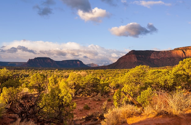 Paysages américains- prairie en automne, Utah, USA.