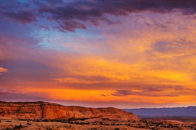 paysages américains