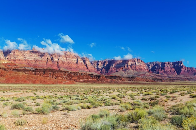 Paysages américains