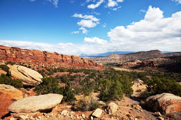 Paysages américains