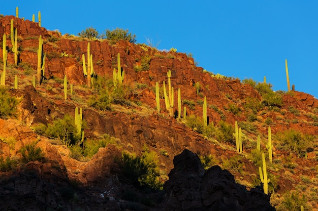 Paysages de l'Arizona, États-Unis