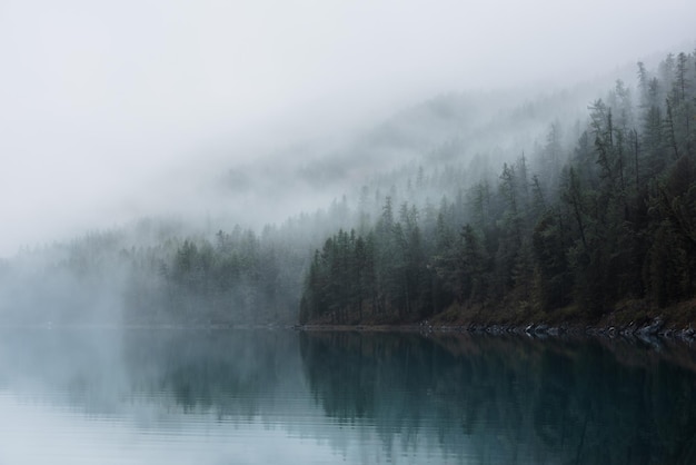 Des paysages atmosphériques tranquilles avec un lac de montagne turquoise et des silhouettes d'arbres conifères dans un brouillard dense Un lac alpin pur dans un mystérieux brouillards épais Un lac glaciaire calme et un bord de forêt dans un matin brumeux