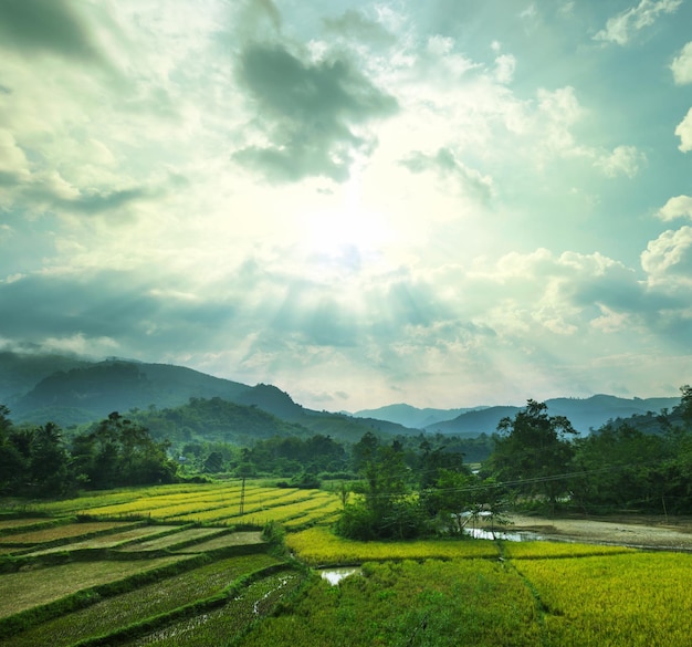 Paysages au Laos