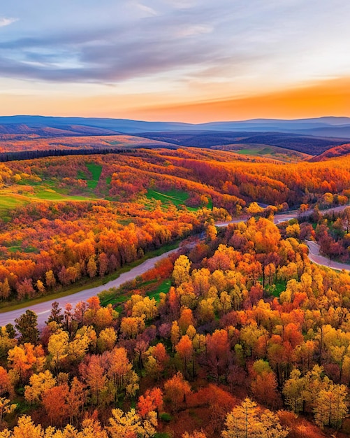 paysages d'automne depuis un drone