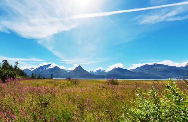 Paysages d'été inhabituels de l'Alaska, aux États-Unis.