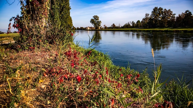 Paysages étonnants du nord de l'Italie, rivière Adda