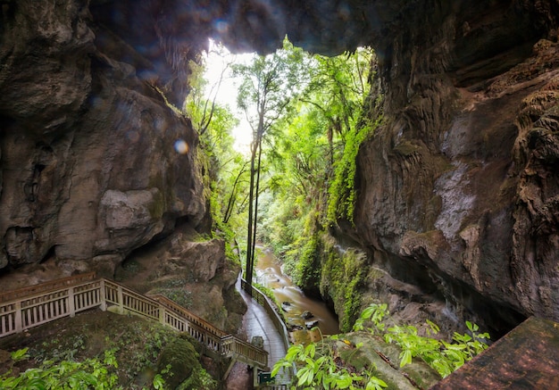 Paysages de grottes insolites en Nouvelle-Zélande