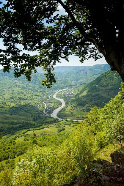 Des paysages magnifiques de montagnes à couper le souffle avec des arbres et un sentier sur fond de ciel bleu.