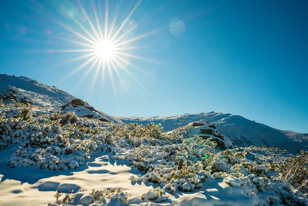 Paysages des montagnes des Carpates, recouverts de grandes corniches en pierre en Ukraine