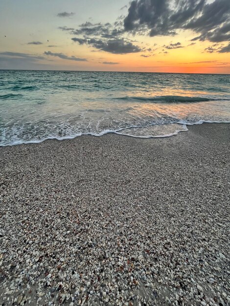 Photo des paysages - la nature à holmes beach