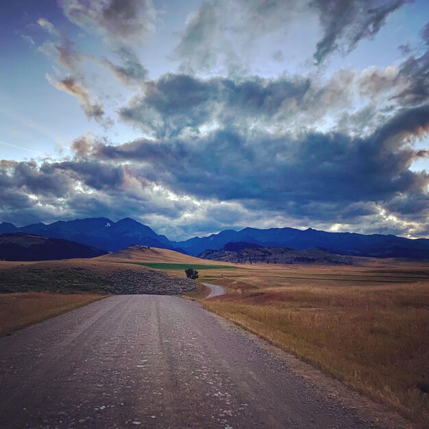 Photo des paysages - la nature à melville