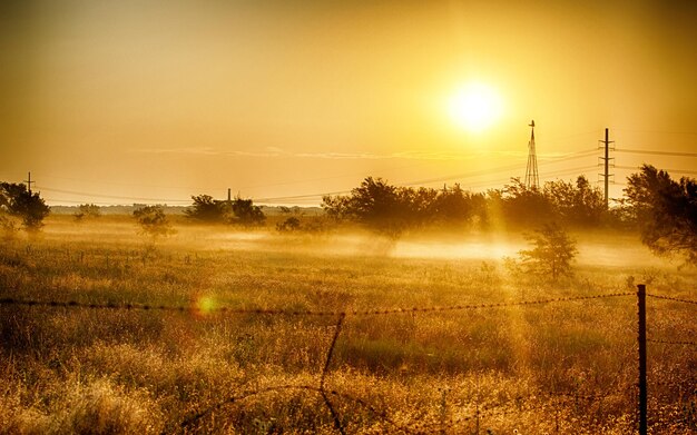 des paysages naturels