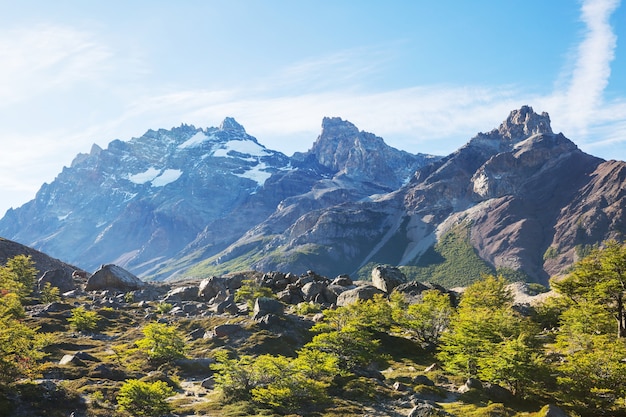 Paysages de Patagonie dans le sud