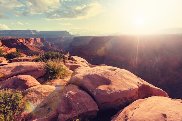 Paysages pittoresques du Grand Canyon