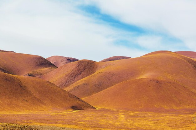 Paysages Pittoresques Du Nord De L'argentine