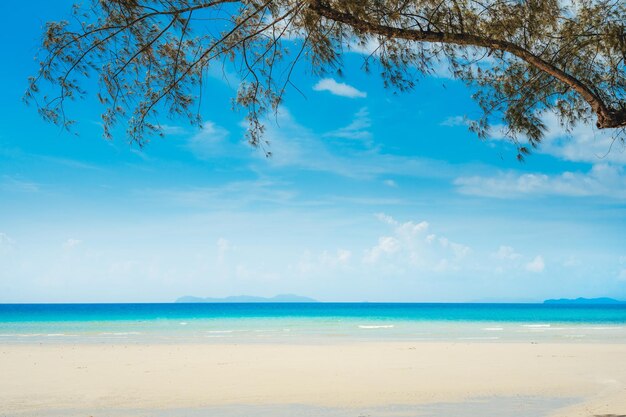 Des paysages de plage et des eaux bleues sur l'île en été