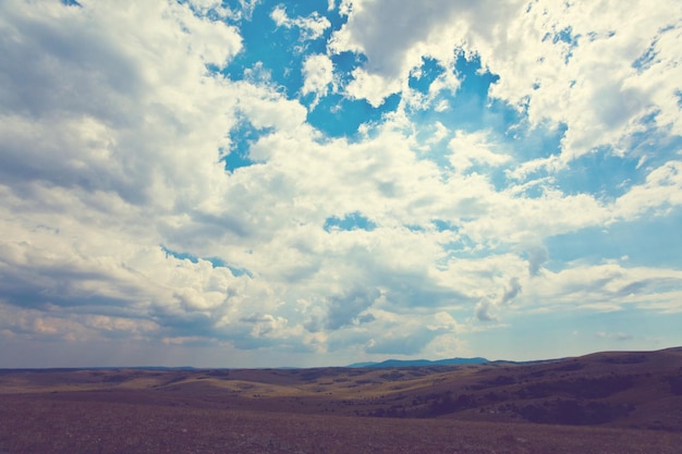 Paysages des prairies