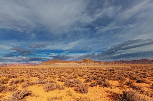 Paysages des prairies