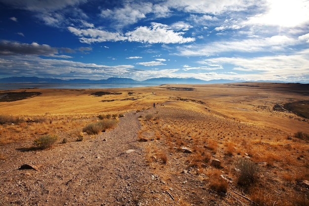 Paysages des prairies