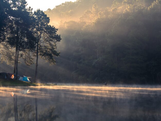 Paysages de réservoirs et de brouillard pendant la matinée galloise