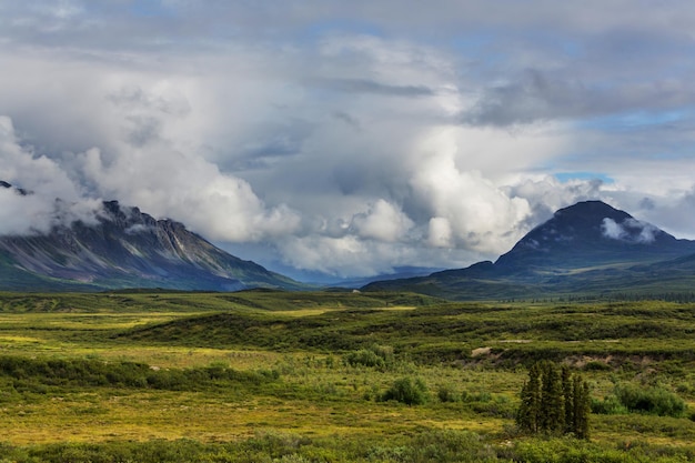 Paysages sur la route Denali, Alaska.